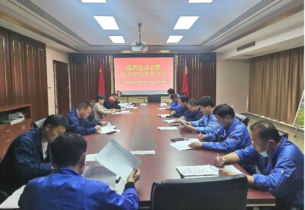 盛世黨支部召開組織生活會(huì)暨民主評議黨員大會(huì)