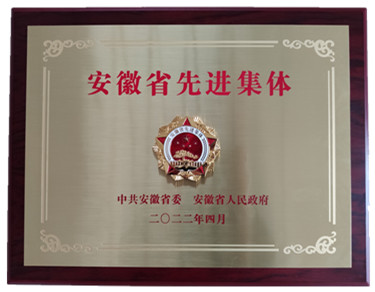 喜報(bào)省級(jí)表彰！熱烈祝賀安徽盛世新能源材料科技有限公司榮獲 “安徽省先進(jìn)集體”