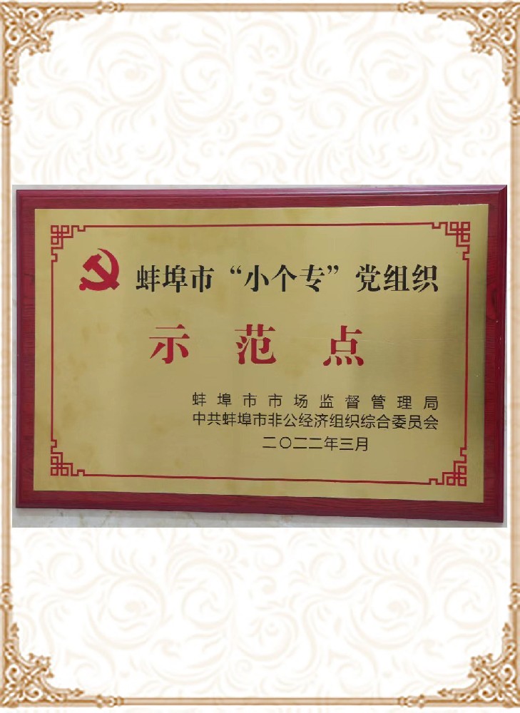 蚌埠市“小個?！秉h組織示范點