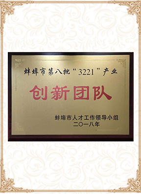 蚌埠市第八批3221創(chuàng)新團(tuán)隊(duì)